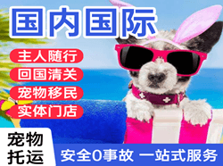 乌海空运国际宠物托运 【国